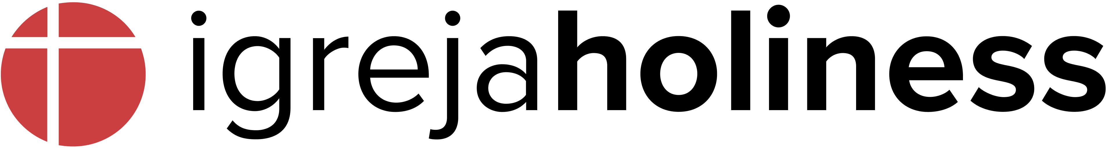 Logo Holiness do Brasil